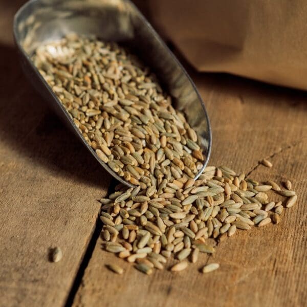 A spoon full of grains on top of a wooden table.