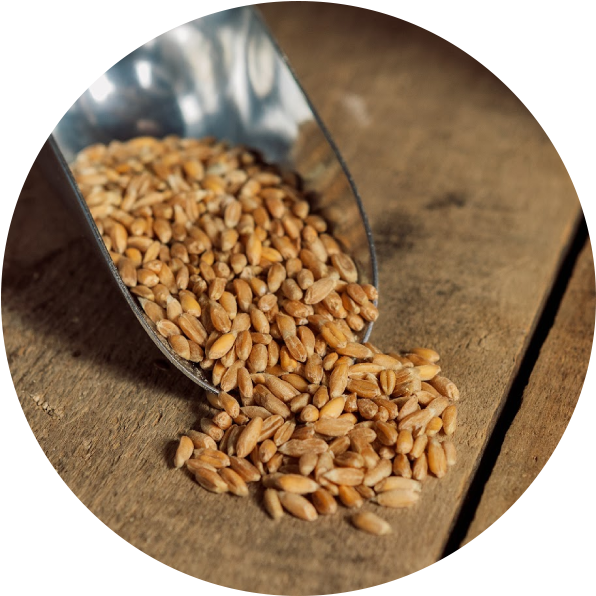 Peace Country Milling & Grains