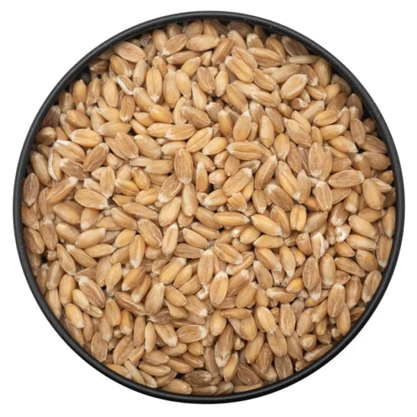 Organic Soft White Wheat Kernels